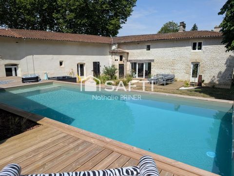 photo no. 11