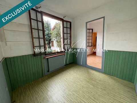 photo no. 8