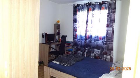 photo no. 2