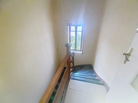 photo no. 12
