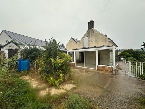 photo no. 8