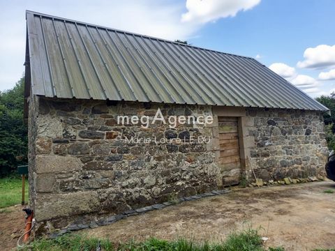 photo no. 13