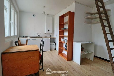 photo no. 18