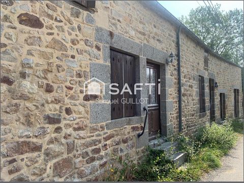 photo no. 11