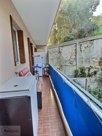 photo no. 12