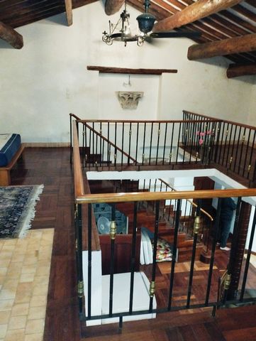 photo no. 6