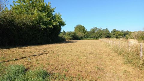Terrain constructible