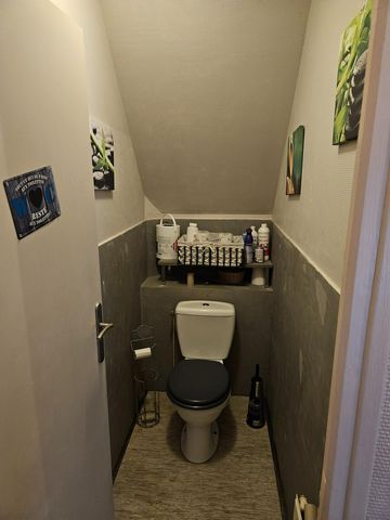 photo no. 7