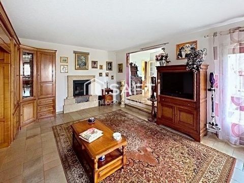 photo no. 8