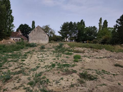 photo no. 10