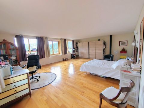 photo no. 7