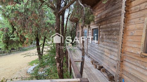 photo no. 19