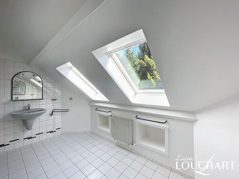 photo no. 13