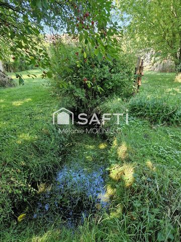 photo no. 16