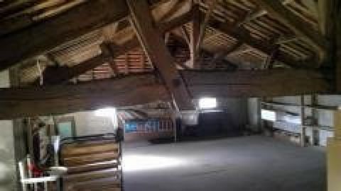 photo no. 8