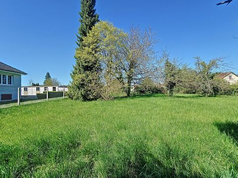 photo no. 4