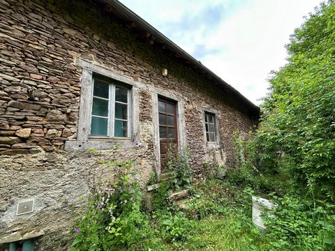 photo no. 6