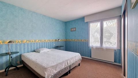 photo no. 8