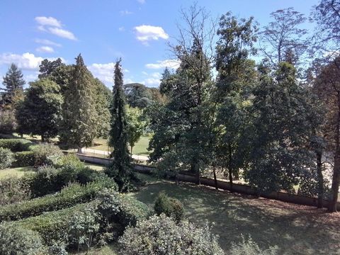 photo no. 13