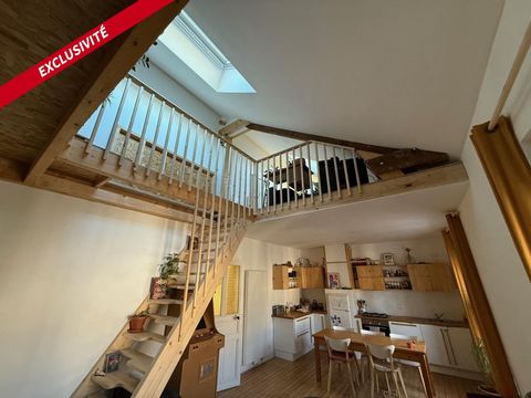 Bel appartement type 3 Centre ville