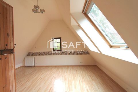 photo no. 8
