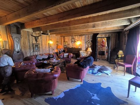 photo no. 6