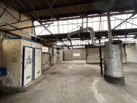 photo no. 8
