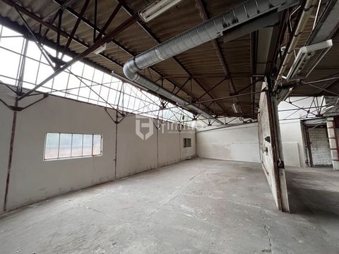 photo no. 12
