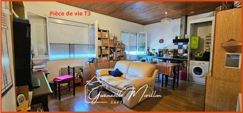 photo no. 11