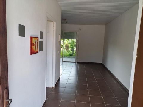 photo no. 1
