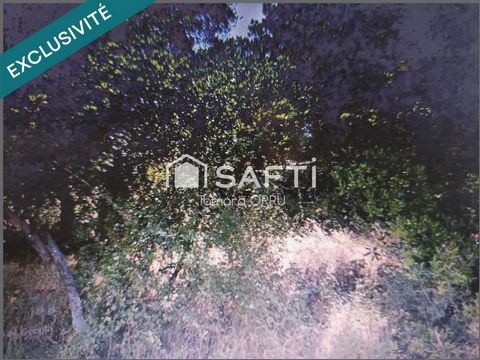photo no. 0