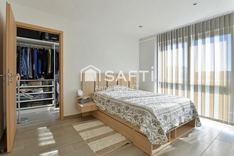 photo no. 7