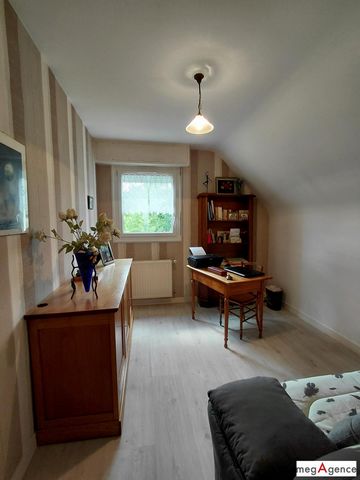 photo no. 7