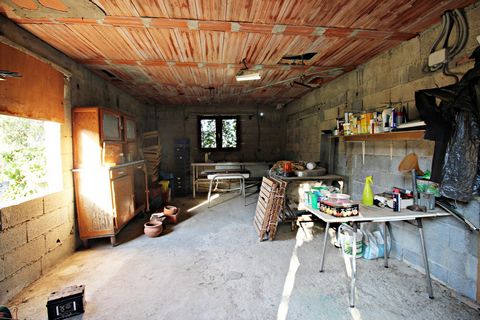 photo no. 17
