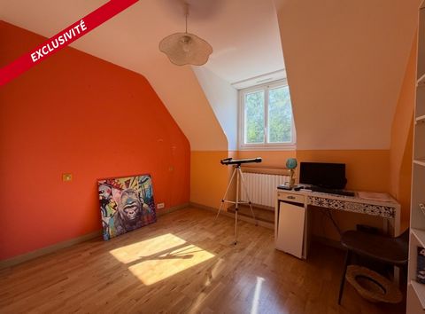 photo no. 10