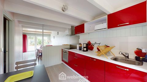 photo no. 11