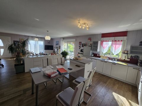 photo no. 11