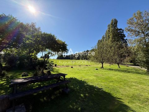 photo no. 9