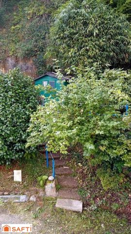 photo no. 13