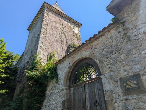 photo no. 18