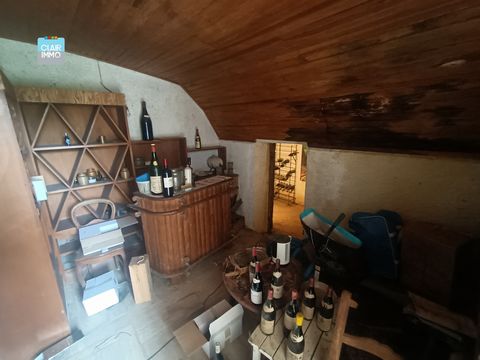 photo no. 11