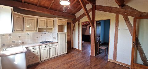 photo no. 19