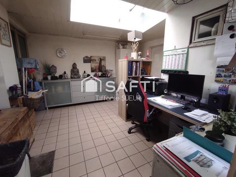 photo no. 5
