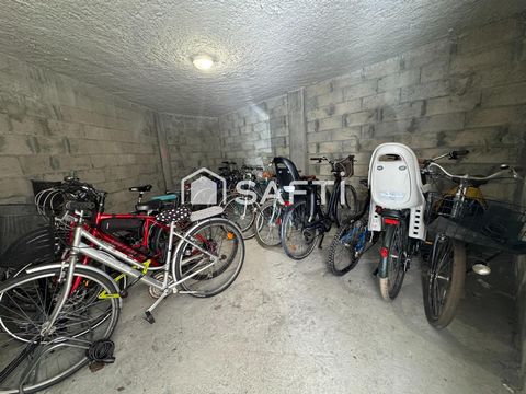 photo no. 6