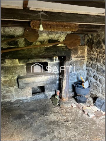 photo no. 10