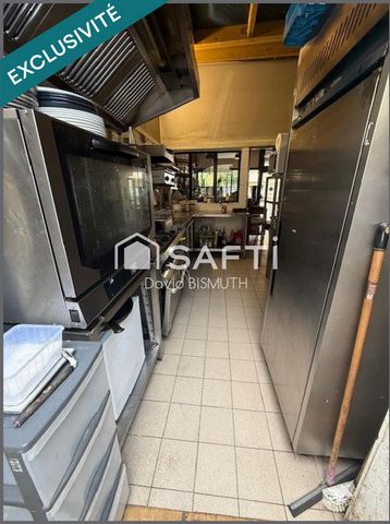 photo no. 13