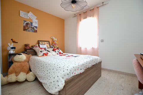 photo no. 5