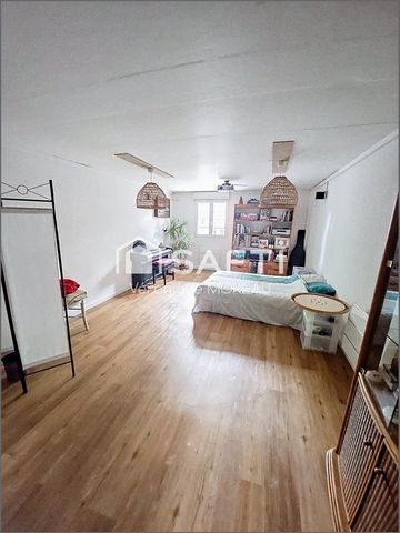 photo no. 8