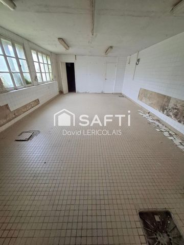 photo no. 12