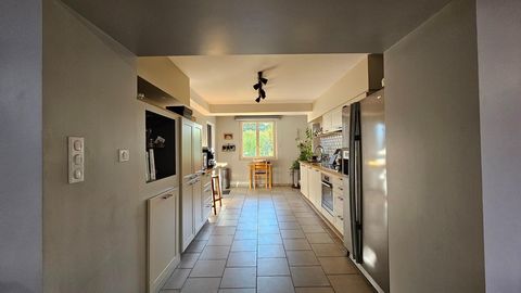 photo no. 10